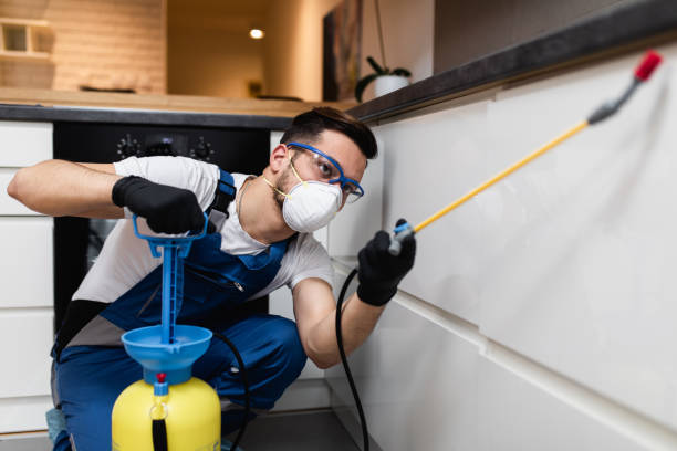 Best Best Pest Control Near Me  in Branchville, SC
