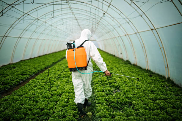 Best Pest Prevention Services  in Branchville, SC